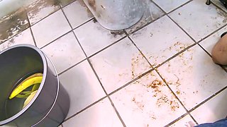 Bdsm femdom fetish humiliation