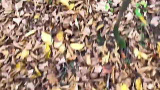 Cosplay Party with Naughty Jason