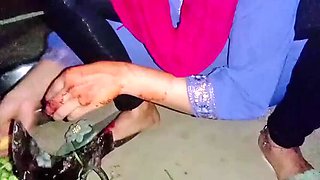 Deshi Bhabhi Tasneem Gets Fucked Hard in Outdoor Doggy Style - HD Desi Sex