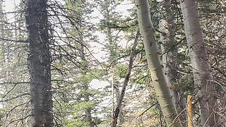 Fucked on a Walk in the Woods