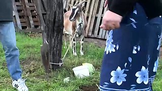 Old Grandma Fucks Co Worker In Garden Hard