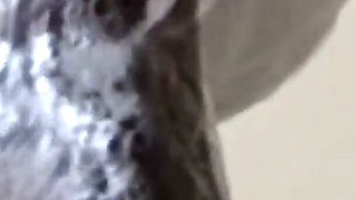 Cum in Mouth Compilation Prt.7