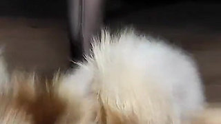 Fuck Fur, Squirt and Pee on Fur