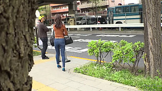 Japanese Public Bus Molester Fuck