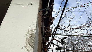 Perfect day for big tits