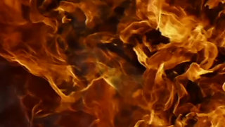 Busty CEO's Poolside Big Cock Bang!