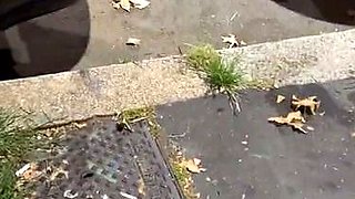 Brunette Solo Webcam Masturbation