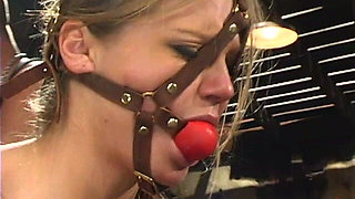 Mark Davis and Rita Faltoyano