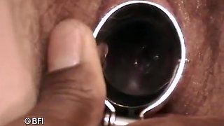 Pregnant Female Is Looking For A Horny Fucker