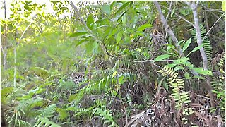 Nature Trip With Girlfriend