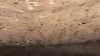 Desi and Brother in Law Fuck