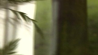 In a kitchen a sexy brunette playing with her big boobs